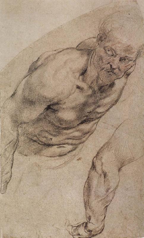 Peter Paul Rubens Portrait of naked man Sweden oil painting art